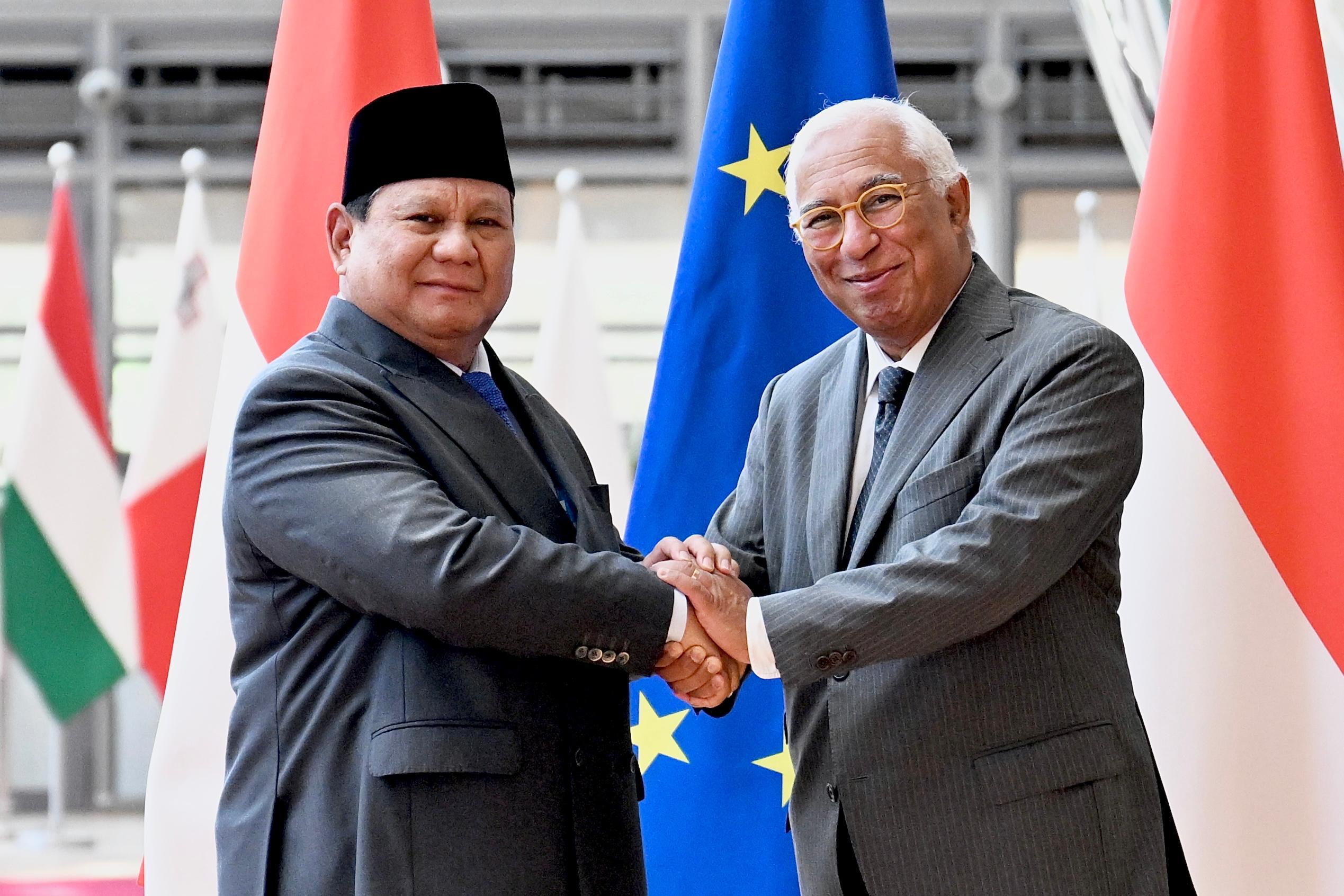 Eropa Puji Peran Global Indonesia, Dukung Agenda Prabowo